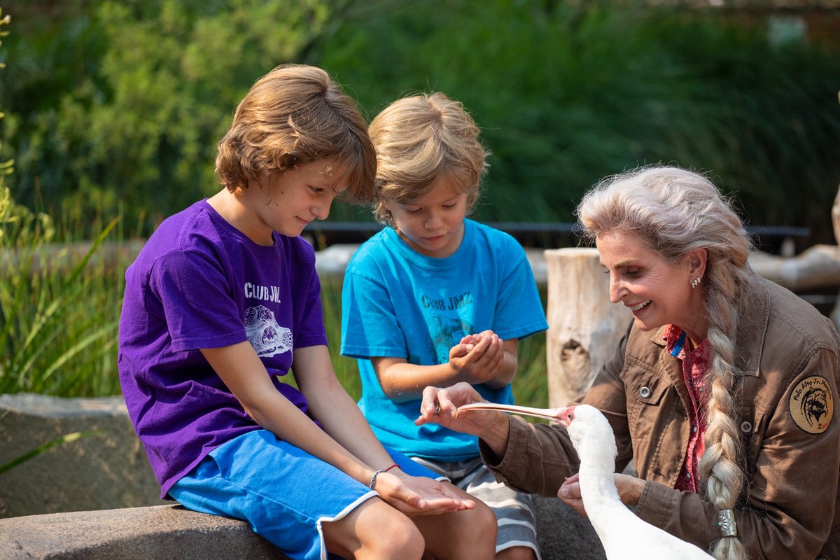 JuniorMuseumZoo's tweet photo. No one does it like the Spoonbills do! https://t.co/M5swTDNkVJ