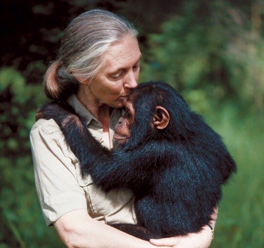 ramblingsloa's tweet photo. You cannot get through a single day without having an impact on the world around you.
What you do makes a difference
And you have to decide what kind of difference you want to make.

Jane Goodall https://t.co/HX0ID6fYLi