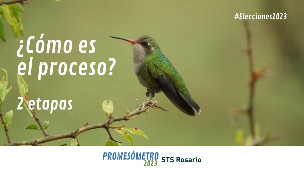 stsrosario's tweet photo. Les compartimos las 2 etapas del Promesómetro:  

👁‍🗨👉Previa a las PASO: realización de encuesta a las precandidaturas y publicación de los resultados.  

💬👉Previa a las Generales: realización de entrevistas a las candidaturas y publicación de informes.

https://t.co/AtO2RNkqZd https://t.co/IXg4oUxAIZ
