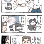 「ねこ転」その116が公開!プンちゃんダイエット作戦、始動…!？