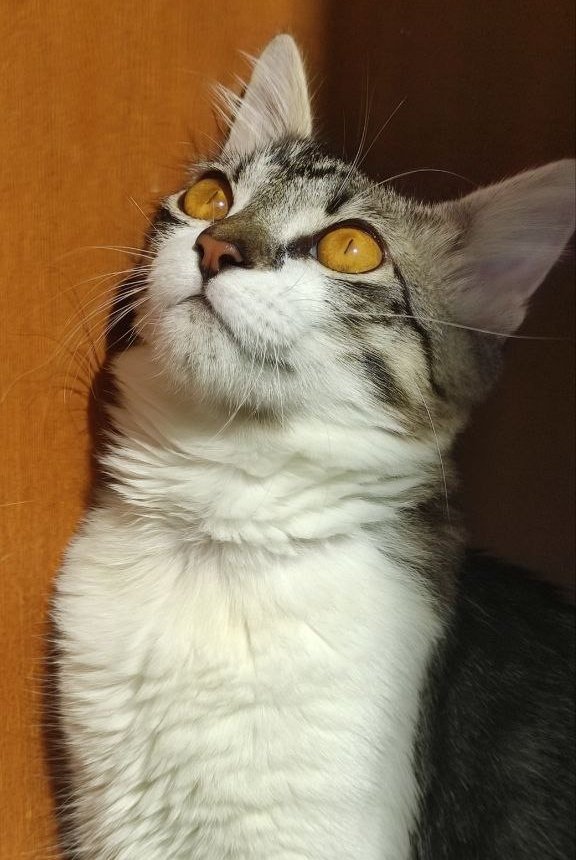 LBraun1998's tweet photo. Filo🧡💛 https://t.co/ArXkFi61cQ