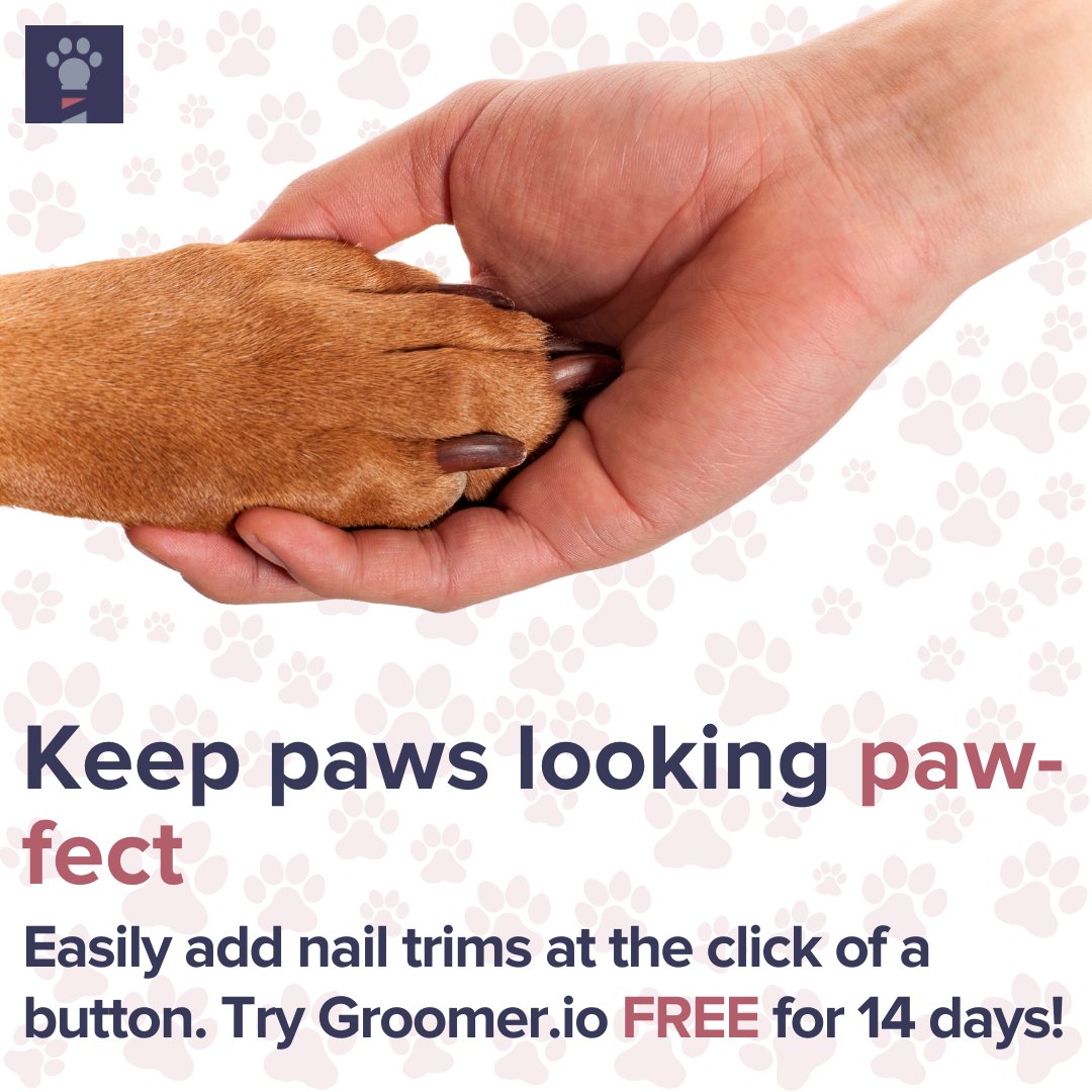 🤳 With customizable services and add-ons, #Groomerio knows what features you need to groom pets. 💈🐩 #PetGroomingSoftware #PetGrooming