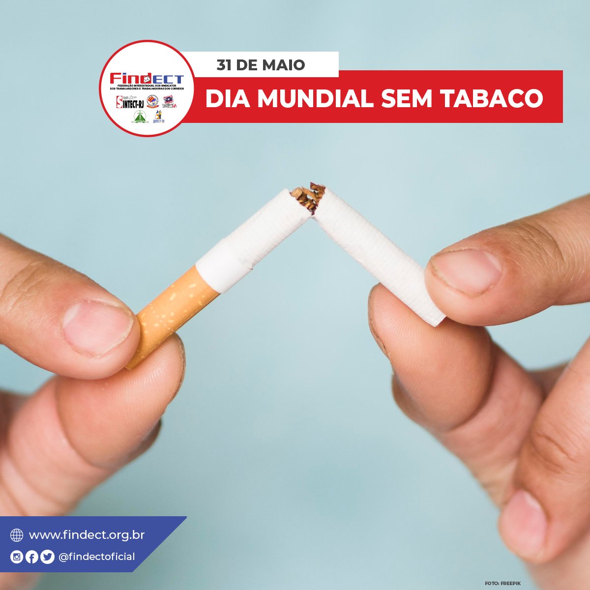 FindectOficial's tweet photo. SAÚDE | Em parceria com entidades de saúde, a FINDECT destaca a importância de abandonar o tabagismo e promover uma vida saudável
Saiba mais: https://t.co/2nN9ycjLLy
#Tabagismo #Correios #Findect #Sintect #Cigarro #PareDeFumar #Saúde https://t.co/GkniJ7M00W