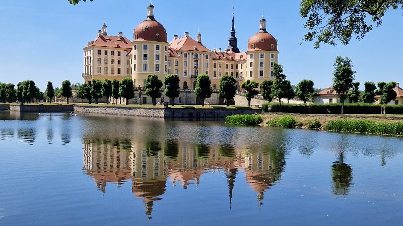 miplotex's tweet photo. #Moritz war's, #Kurfürst von #Sachsen
#LustundJagdschloss #Moritzburg
#Pferde #LandgestütMoritzburg 
#Künstler der #Brücke entdecken #MoritzburgerTeiche
@KollwitzHaus ihr letzter Wohnort, heute Gedenkstätte
Ganz schön viel für ein großes Dorf in einer wunderbaren Landschaft 😀 https://t.co/kBtsNOnVkL
