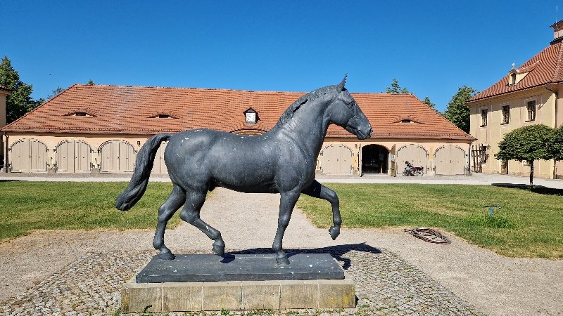 miplotex's tweet photo. #Moritz war's, #Kurfürst von #Sachsen
#LustundJagdschloss #Moritzburg
#Pferde #LandgestütMoritzburg 
#Künstler der #Brücke entdecken #MoritzburgerTeiche
@KollwitzHaus ihr letzter Wohnort, heute Gedenkstätte
Ganz schön viel für ein großes Dorf in einer wunderbaren Landschaft 😀 https://t.co/kBtsNOnVkL