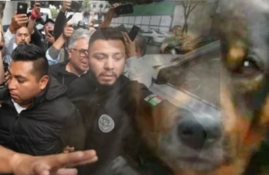 perfildehugo's tweet photo. Era policía el desalmado que arrojó a un perro a un cazo con aceite hirviendo vía @rubengluengas https://t.co/PxRmGeI9Wd https://t.co/PHsLpJYsVl