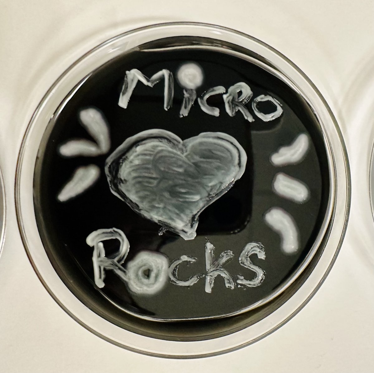 BIDMCpath's tweet image. This past April we celebrated lab week with an amazing display of micro ART (among other fun activities)

@nandanp0 @dianachenfd 

#labweek2023 #labweek23