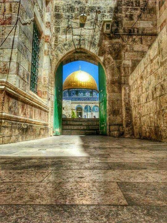 LdeManielle's tweet image. #TheLordSaid:
"I have raised you up for this very purpose, that I might display My power to you, and that My Name might be proclaimed in all the earth."
(Exodus 9:16 BSB)
#Pharao #Egypt #TheGodOfIsrael