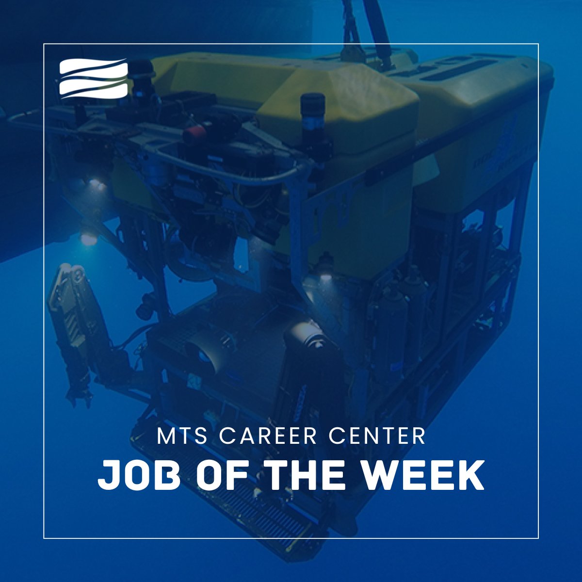 MTSociety's tweet photo. @MBARI_News is currently seeking an ROV Pilot/Engineer to collaborate with leading ocean researchers in shaping the future of ocean technology at their state-of-the-art facilities in Moss Landing, CA. #JoboftheWeek #ROVPilot #OceanJobs
Learn more here: https://t.co/dkuo2H9egK https://t.co/Opjs5AFJyc