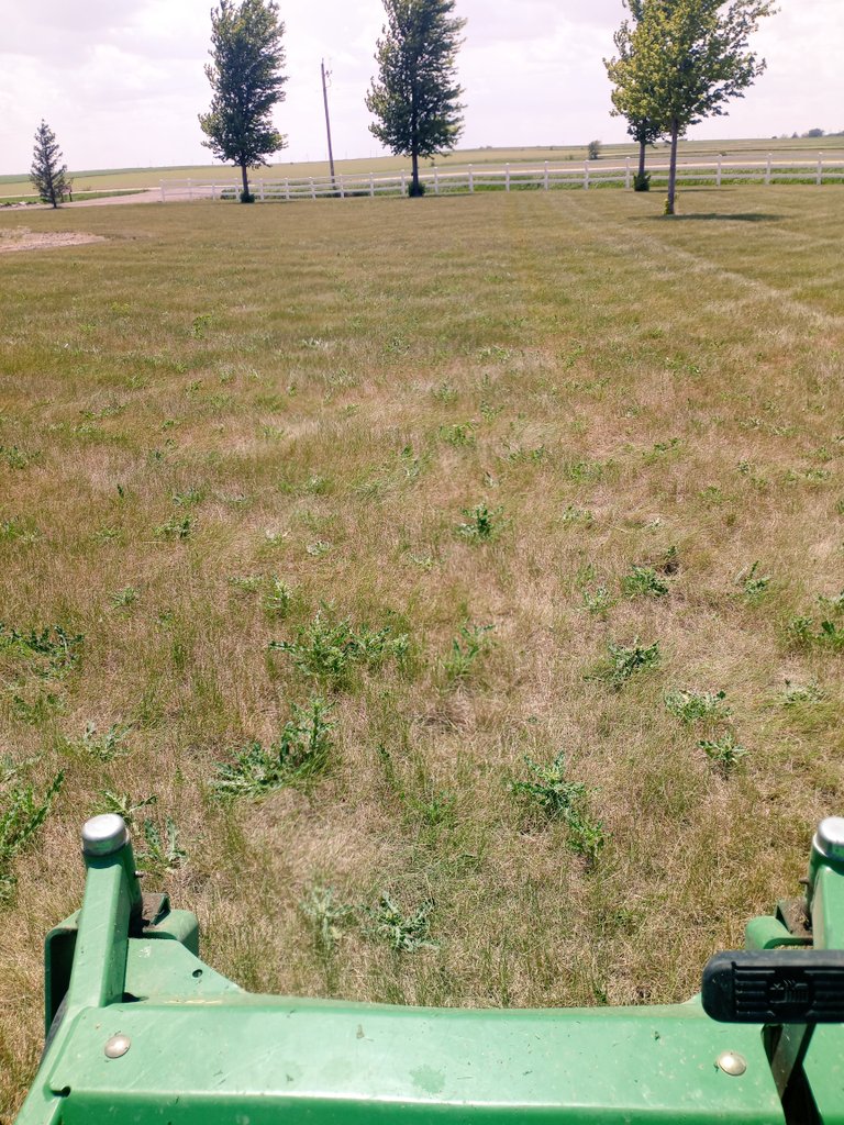 I think it was 2009 I only mowed the lawn 1x after July 4th to knock down thistles and errant grass. I just did that...it's May 31st. #drought2023