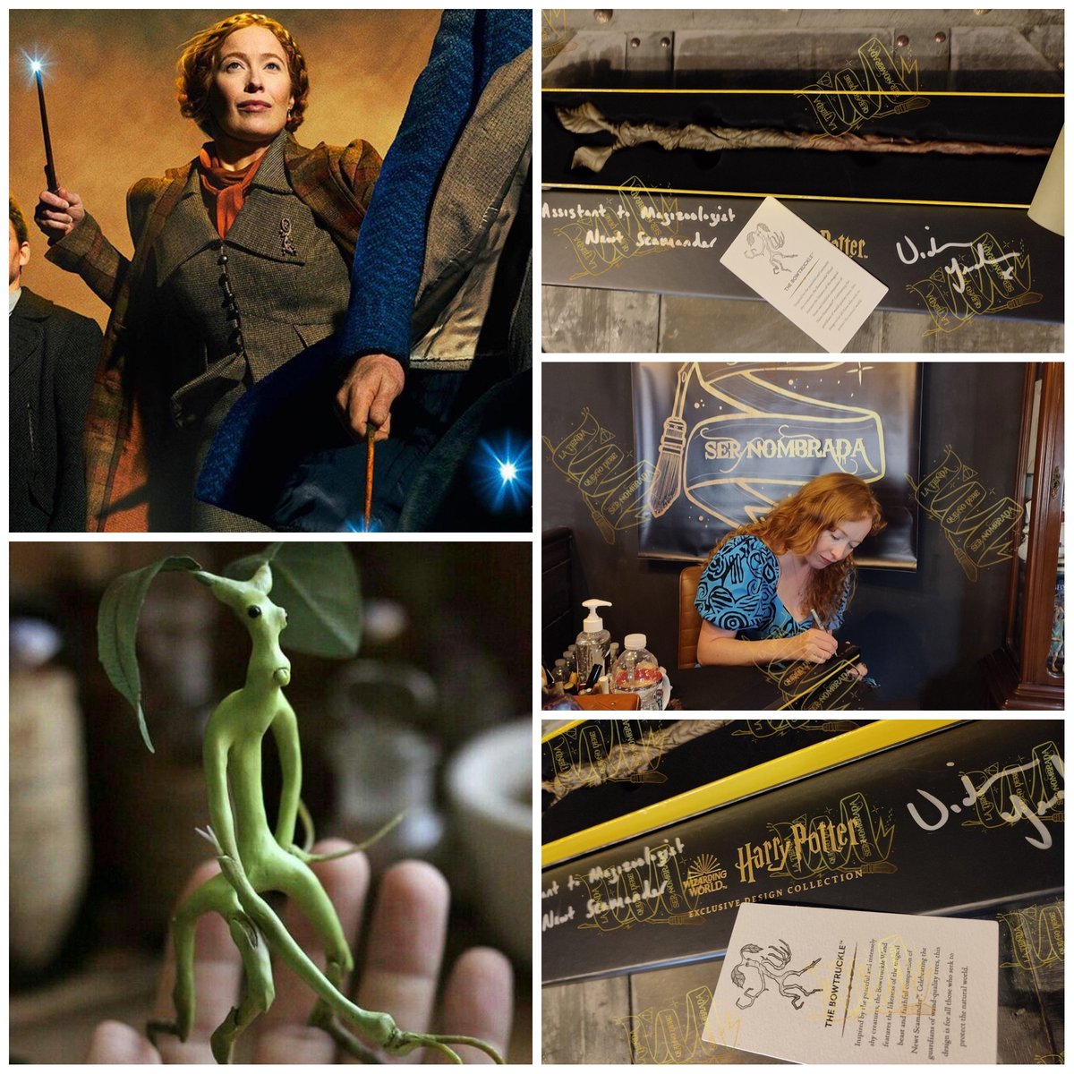 nosedebenombrar's tweet photo. VARITA EXCLUSIVA DE #PICKETT FIRMADA POR #BUNTY, LA ASISTENTE DE #NEWTSCAMANDER, EN #ANIMALESFANTÁSTICOS, #VICTORIAYEATES ✒️🖤
INCLUYE LA FRASE: "ASSISTANT TO MAGIZOOLOGIST NEWT SCAMANDER" ESCRITA POR VICTORIA 🌱
Podéis realizar vuestras compras ⤵️⤵️ https://t.co/iH3CglzpBJ https://t.co/8SbsjGcVz6