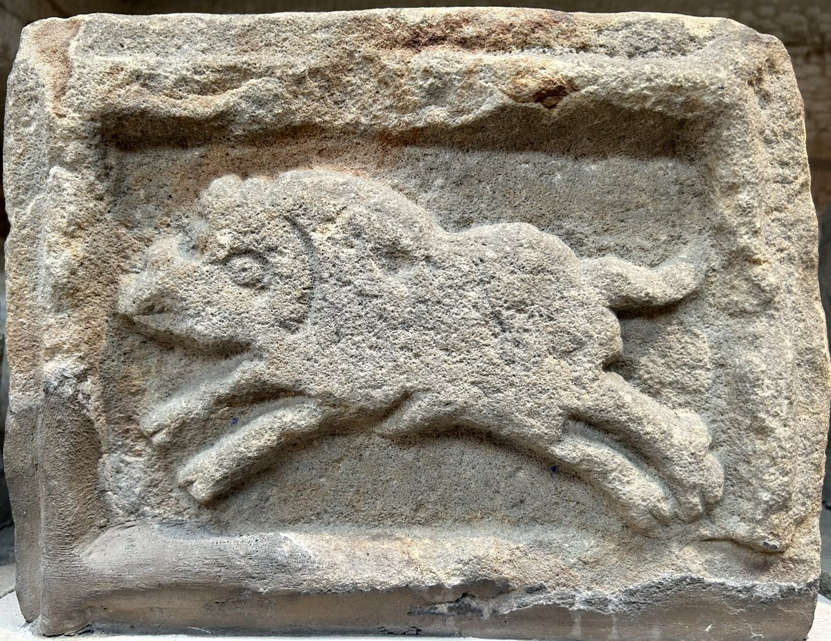 Building stone with a relief of a boar - the emblem of the Twentieth Legion. The stone was originally from Roman Vindolanda, but is now part of the collections at Chesters Roman Fort In Northumberland. #ReliefWednesday #RomanBritain