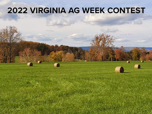 VaAgriculture's tweet photo. Today is the last day of the Virginia Agriculture Week Photo Contest! Submit your photos by midnight. https://t.co/YJR7vG5D0F #VaAgWeek https://t.co/Dx2jAGTLhK