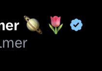 What do these mean?
 I thought the 🌹was DSA or whatever but that’s a different flower