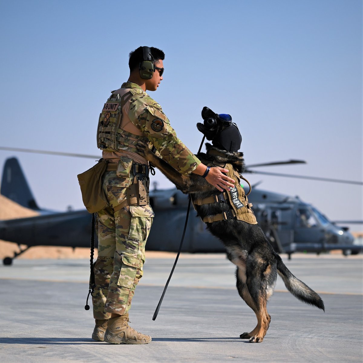 aircombatcmd's tweet image. What a good boy!

Polo, a @USAFCENT #MilitaryWorkingDog from the 332nd Expeditionary Security Forces Squadron, completes helicopter acclimation training with his handler and a #HH60 #PaveHawk helicopter in the @CENTCOM AOR.