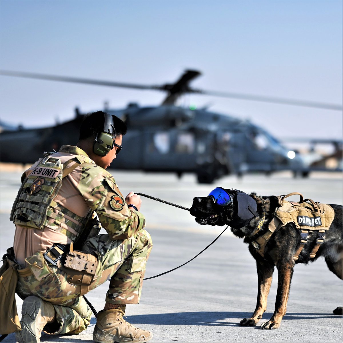 aircombatcmd's tweet image. What a good boy!

Polo, a @USAFCENT #MilitaryWorkingDog from the 332nd Expeditionary Security Forces Squadron, completes helicopter acclimation training with his handler and a #HH60 #PaveHawk helicopter in the @CENTCOM AOR.