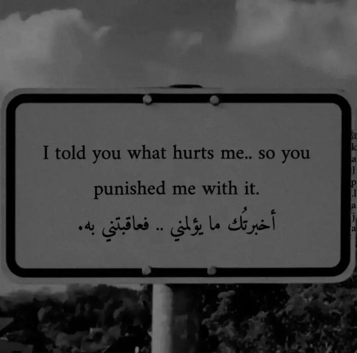 Dina Bel Jaflah (@dinabeljaflah) on Twitter photo 