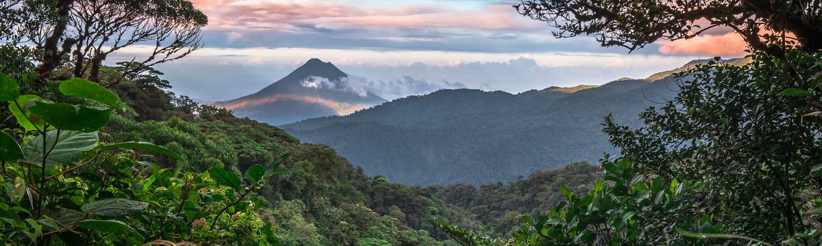 wanderlust_pics's tweet photo. Monteverde Cloud Forest, Costa Rica 🇨🇷 https://t.co/c1dj4s6A2P