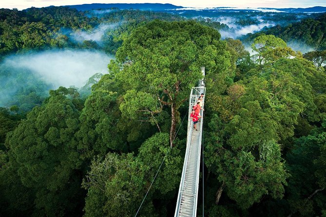 wanderlust_pics's tweet photo. Monteverde Cloud Forest, Costa Rica 🇨🇷 https://t.co/c1dj4s6A2P