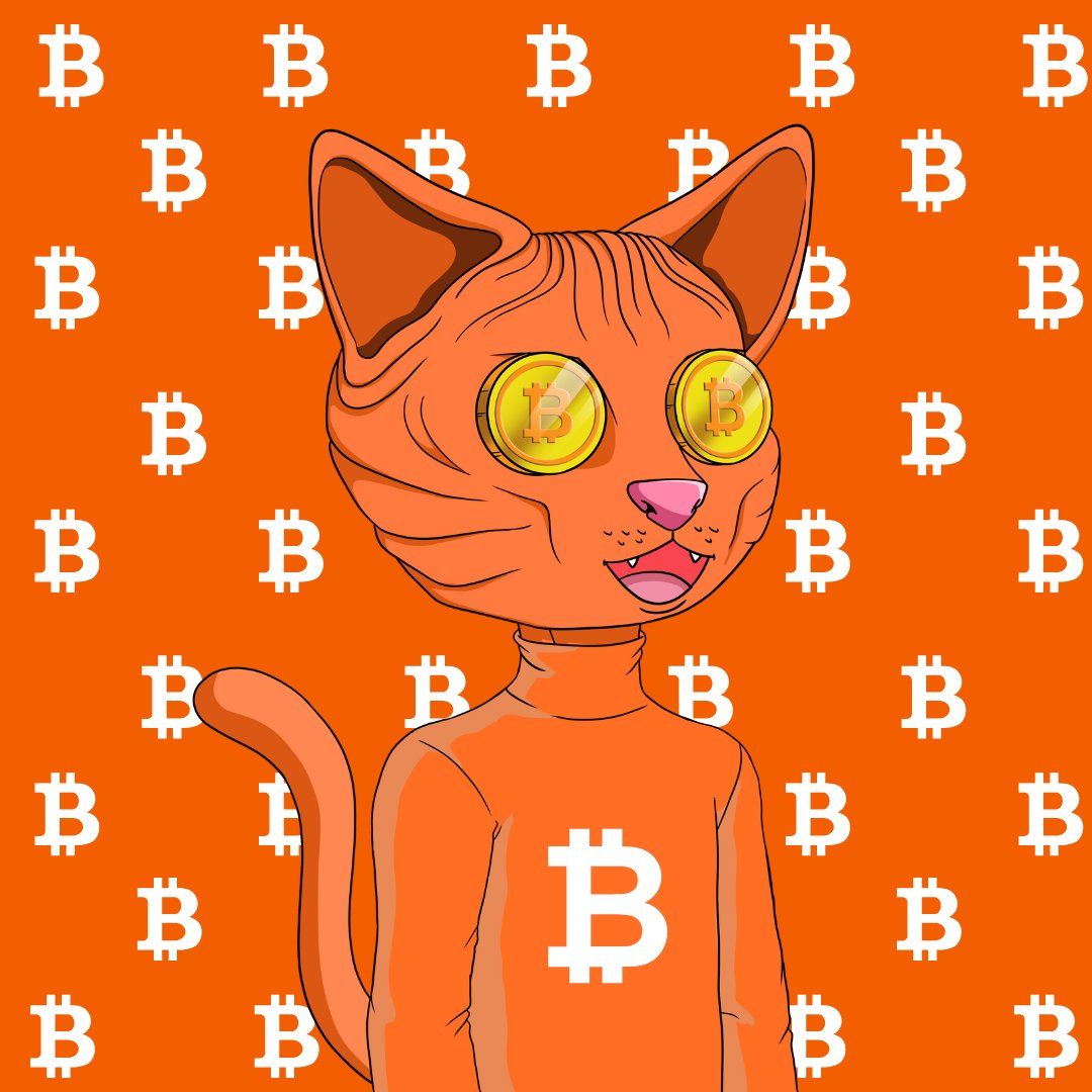 NUDIE COMMUNITY tweet media
