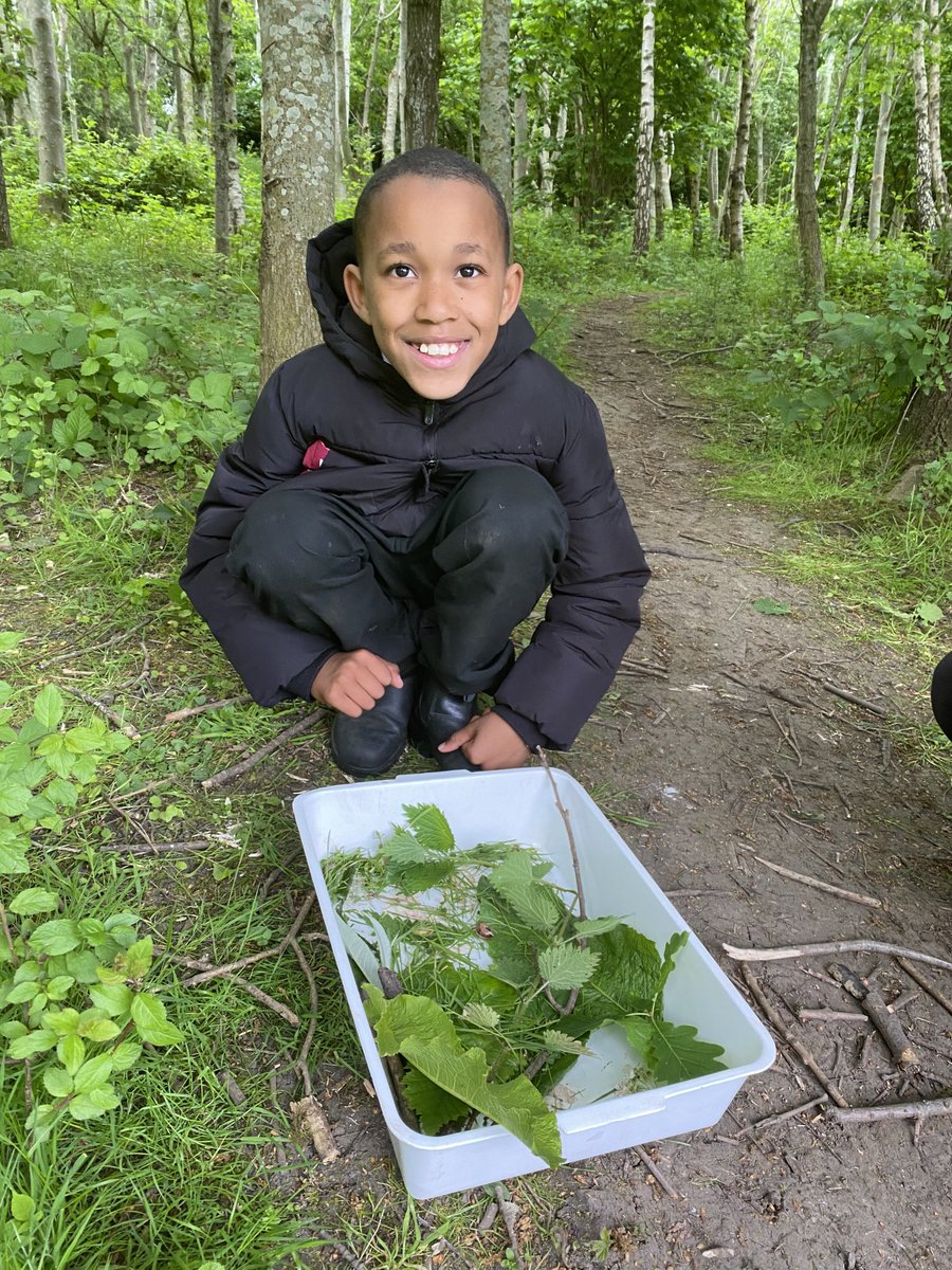 Invertebrate investigation as part of of ⁦@Castleview_PS⁩ Junior Rangers. P5 were brilliant at finding all sorts of exotic looking creepy crawlies!