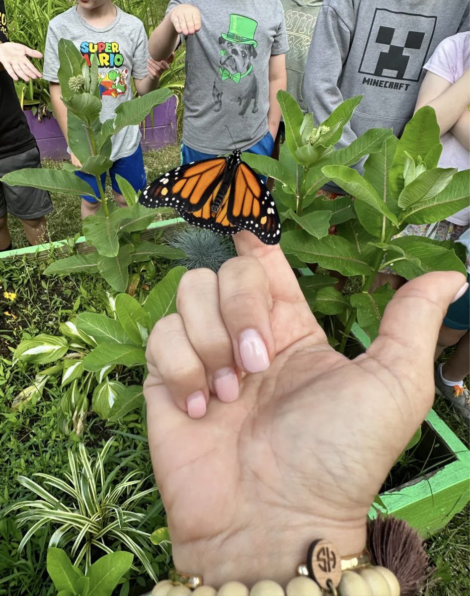 DranesvilleDragons tweet media