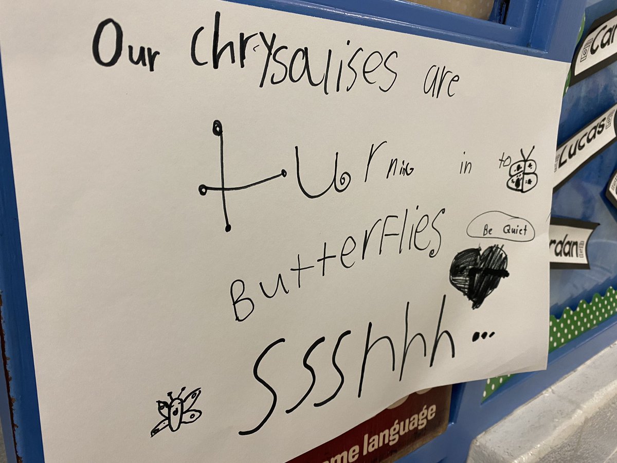 DranesvilleDragons tweet media