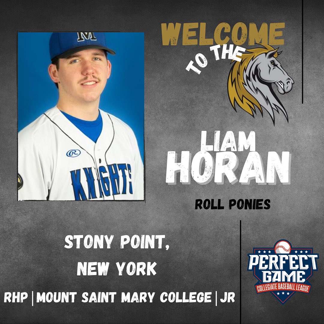 Saugerties Stallions tweet media