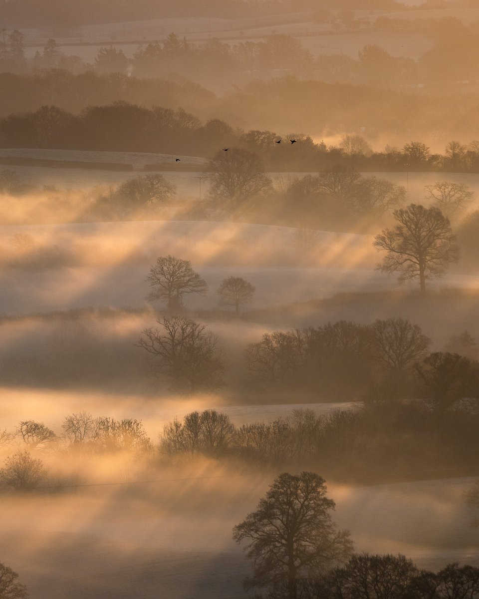 Foglights

I really miss these kind of mornings. Just a little rain, is it too much to ask?? 😂