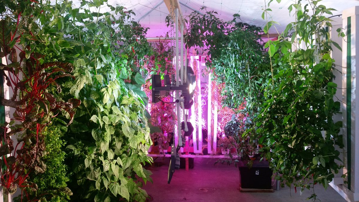 SoilEssentials tweet media