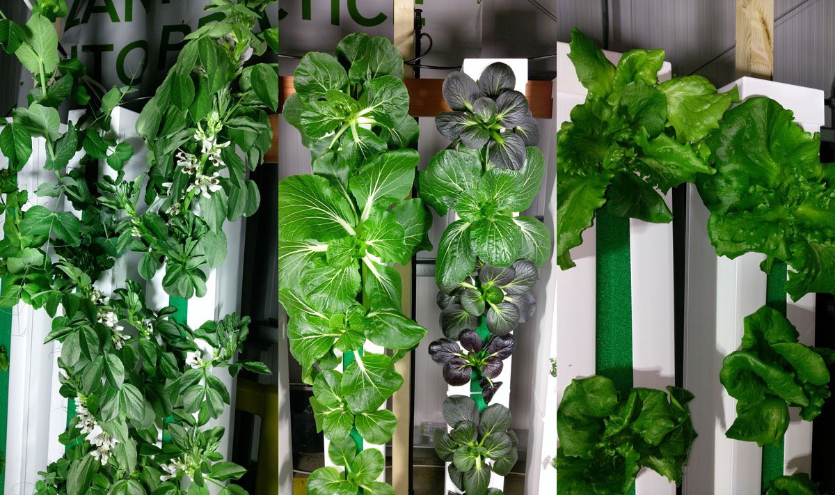 SoilEssentials tweet media