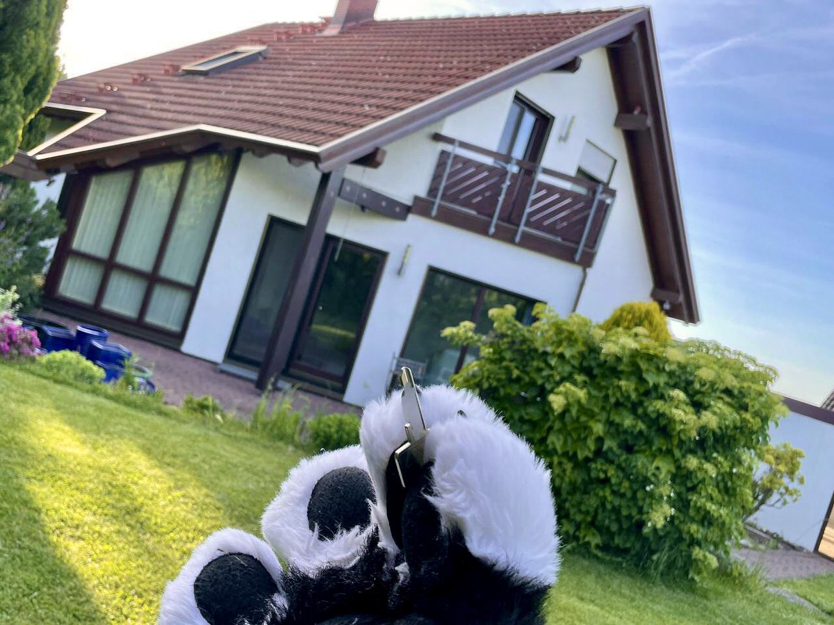Dainty_Dragon's tweet photo. WE HAVE A HOUSE!!! 

🏡🔑✨

😄🐶😁

@Tristankitty #Oreo @Dainty_Dragon https://t.co/7TkGDKNTSZ