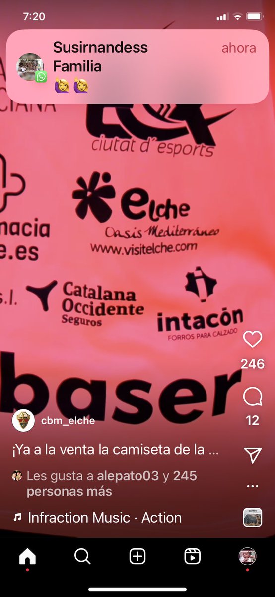 grupointacon's tweet photo. Orgullosos de estas  #damasDeElche que sin lograr el titulo son nuestras CAMPEONAS! Así lo sentimos y agradecemos al @cbm_elche que sigais contando con nosotros. Volveremos… este año hemos llamado a la puerta… en los próximos la abrireis de par en par!! 
GO ELCHE!! 🤍💚🤍💚🤍💚 https://t.co/NSVh2BzzNx