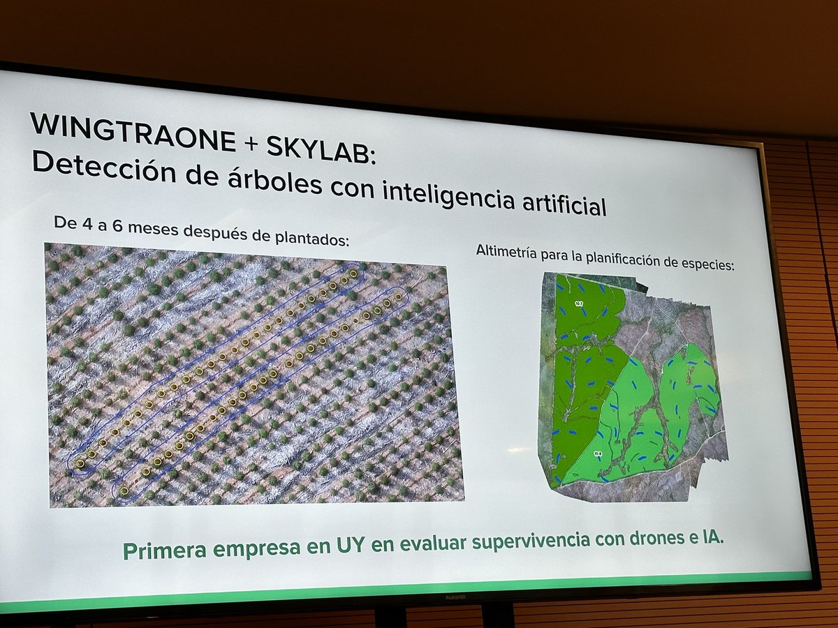 Muy interesante e innovador esto, desde Uruguay y para la región: evaluación de la supervivencia y crecimiento de árboles en plantaciones forestales con drones e Inteligencia Artificial; vía presentación de @FBonino en #InvestorDay de @AFempresa.