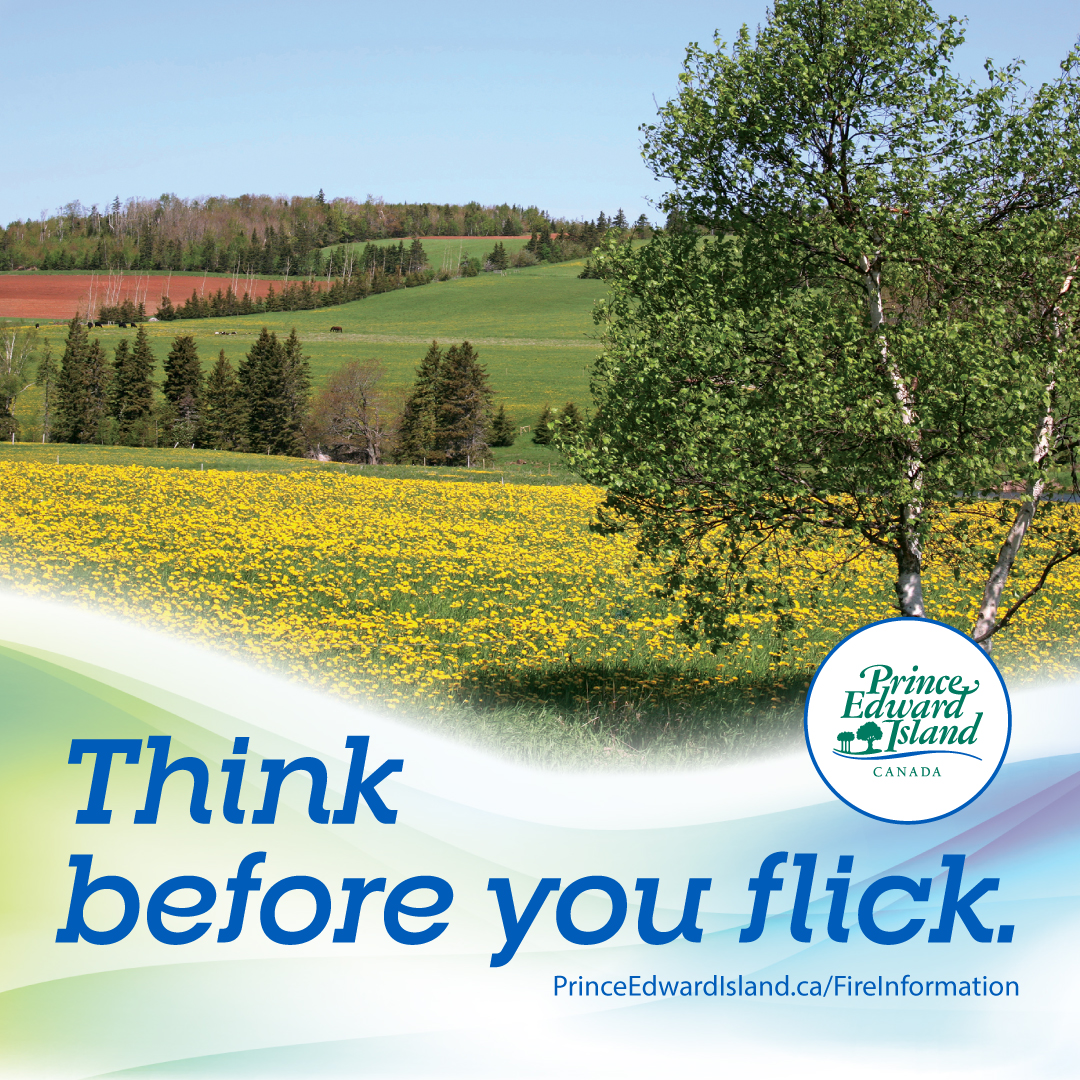 PEIPublicSafety's tweet photo. Did you know that cigarette butts are a leading cause of forest fires? Please help keep our beautiful Island safe by properly disposing of cigarette butts. #ForestFireSafety #ThinkBeforeYouFlick
https://t.co/yIeOOUns8W @InfoPEI https://t.co/Rm7fbFyDs7