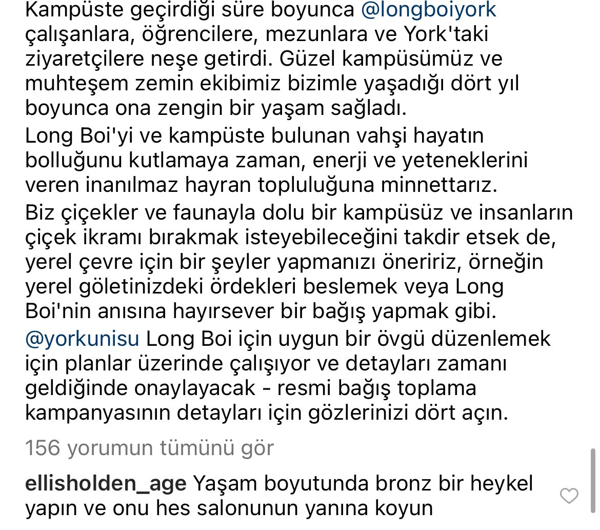 Birkaç haftadır York Üniversitesi’nin gündeminde “Long boi” isimli, türüne kıyasla oldukça uzun, fenomen bir ördeğin kaybolması yer alıyordu. Öldüğü kanısına varılarak, onu anmak üzere bir program hazırlığına girildi. Hatta yakın zamanda bağış kampanyası dahi düzenlenecek 🥰🦆