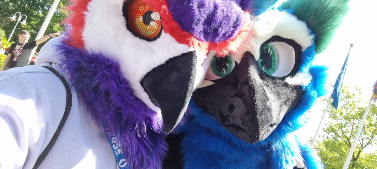 Big Purple Hoot tweet media