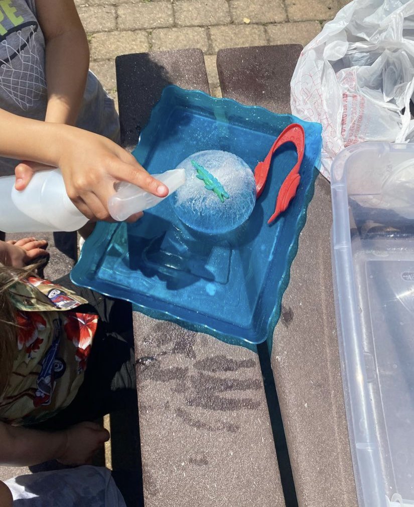 MarianTeaching's tweet photo. I for Ice🧊❄️🥶
I use regular balloons and put small dinosaurs or animals and water inside and freeze them. Your students can then use warm water, spray bottles, tweezers and salt to “rescue” them
#iforice #iceexploration https://t.co/6Ql56vnpzK