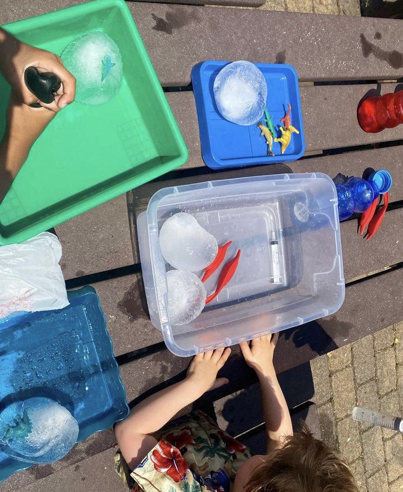 MarianTeaching's tweet photo. I for Ice🧊❄️🥶
I use regular balloons and put small dinosaurs or animals and water inside and freeze them. Your students can then use warm water, spray bottles, tweezers and salt to “rescue” them
#iforice #iceexploration https://t.co/6Ql56vnpzK