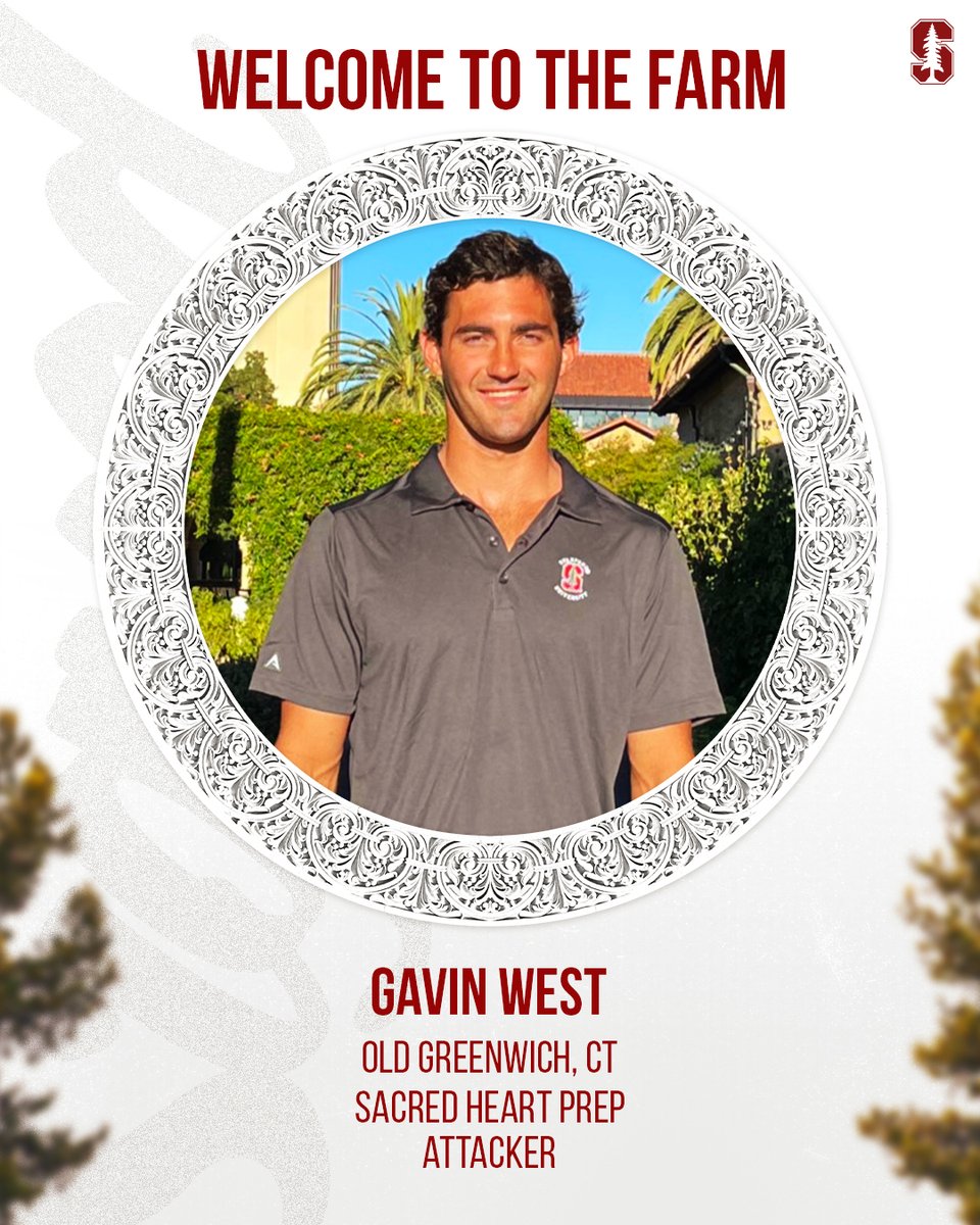 Stanford Men's Water Polo tweet media