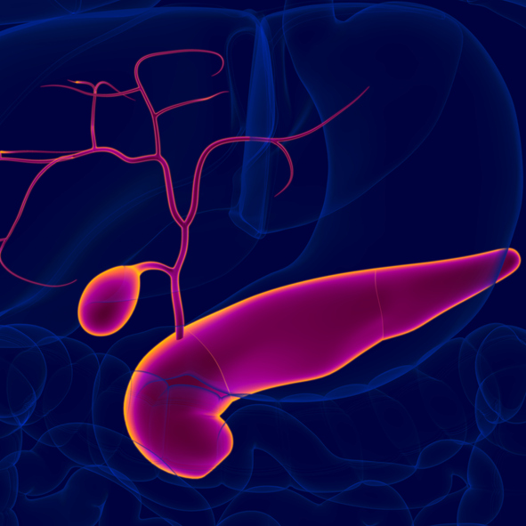 JNCCN's tweet image. Adding Sintilimab to Chemotherapy for Advanced #BiliaryTractCancer: jnccn360.org/hepatobiliary/… #JNCCN360 #HPBSM