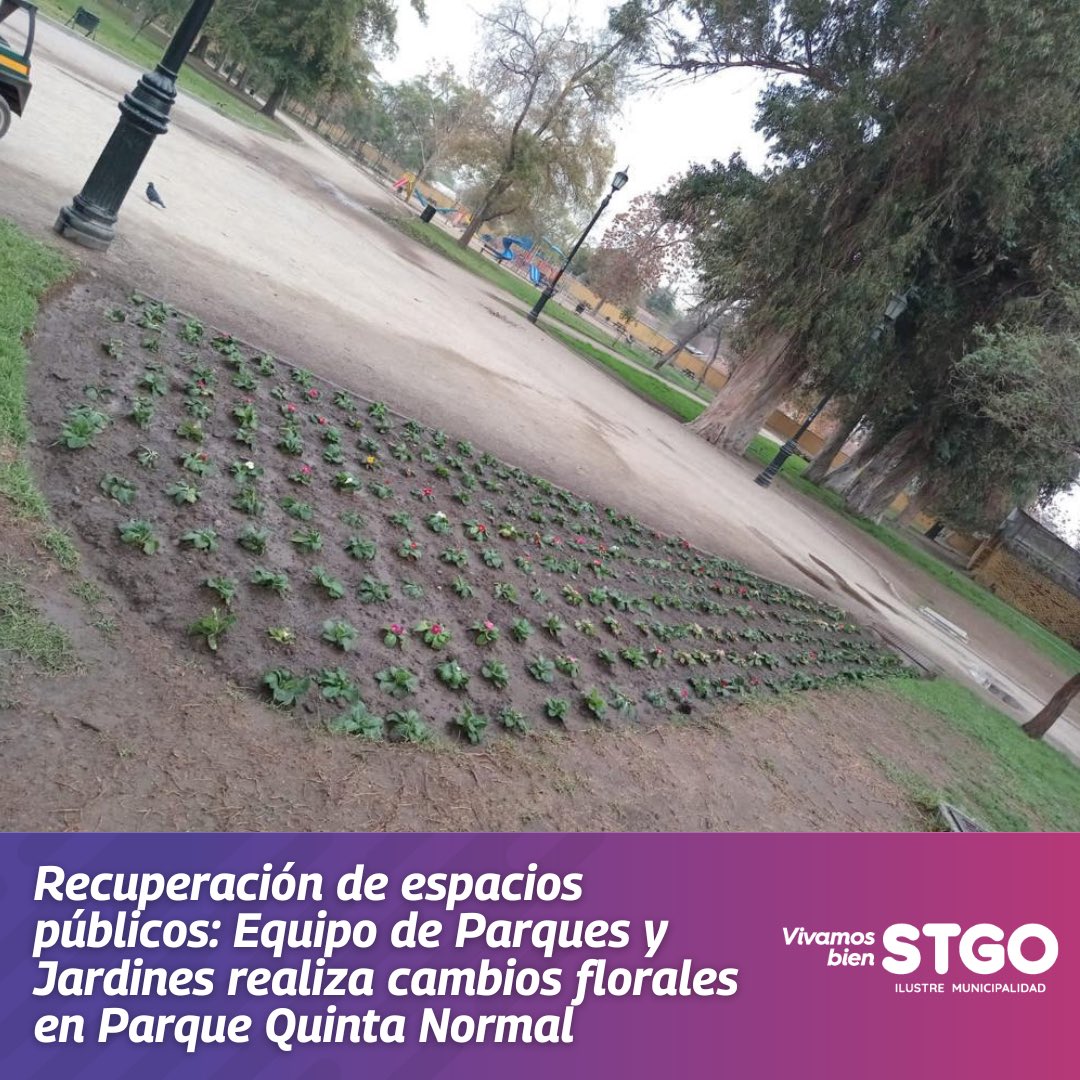 Santiago tweet media
