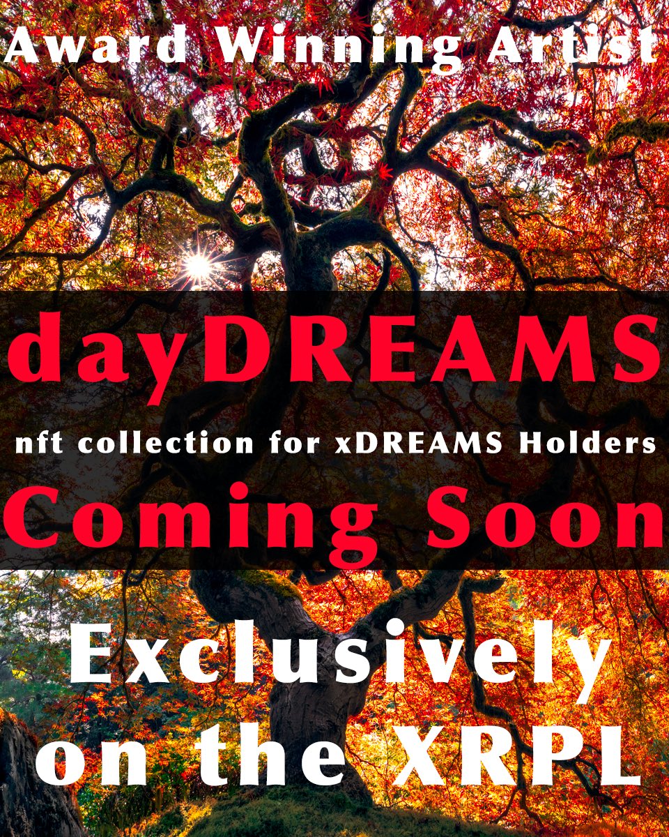 xDREAMS_NFT's tweet photo. 🔥dayDREAMS🔥

@dayDREAMS_XRPL

⛰️Majestic Landscapes
🎨Artistic Black+White
🌈Dramatic Natural Wonders
🧐Thought Provoking Details
🥇Award Winning Landscape Artist
👩‍🎨 Extremely Rare Collection

COMING SOON -Exclusively on the #XRPL

HOW TO MINT
Redeem your $WAKEx🤯

#art #nftart https://t.co/koWUa6mgoE
