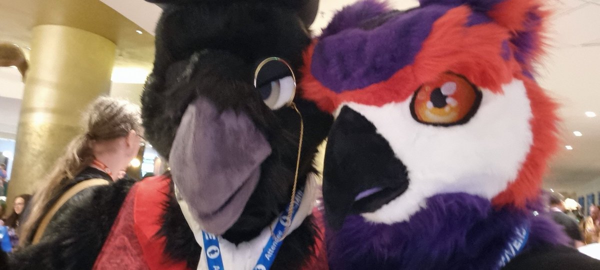 Big Purple Hoot tweet media