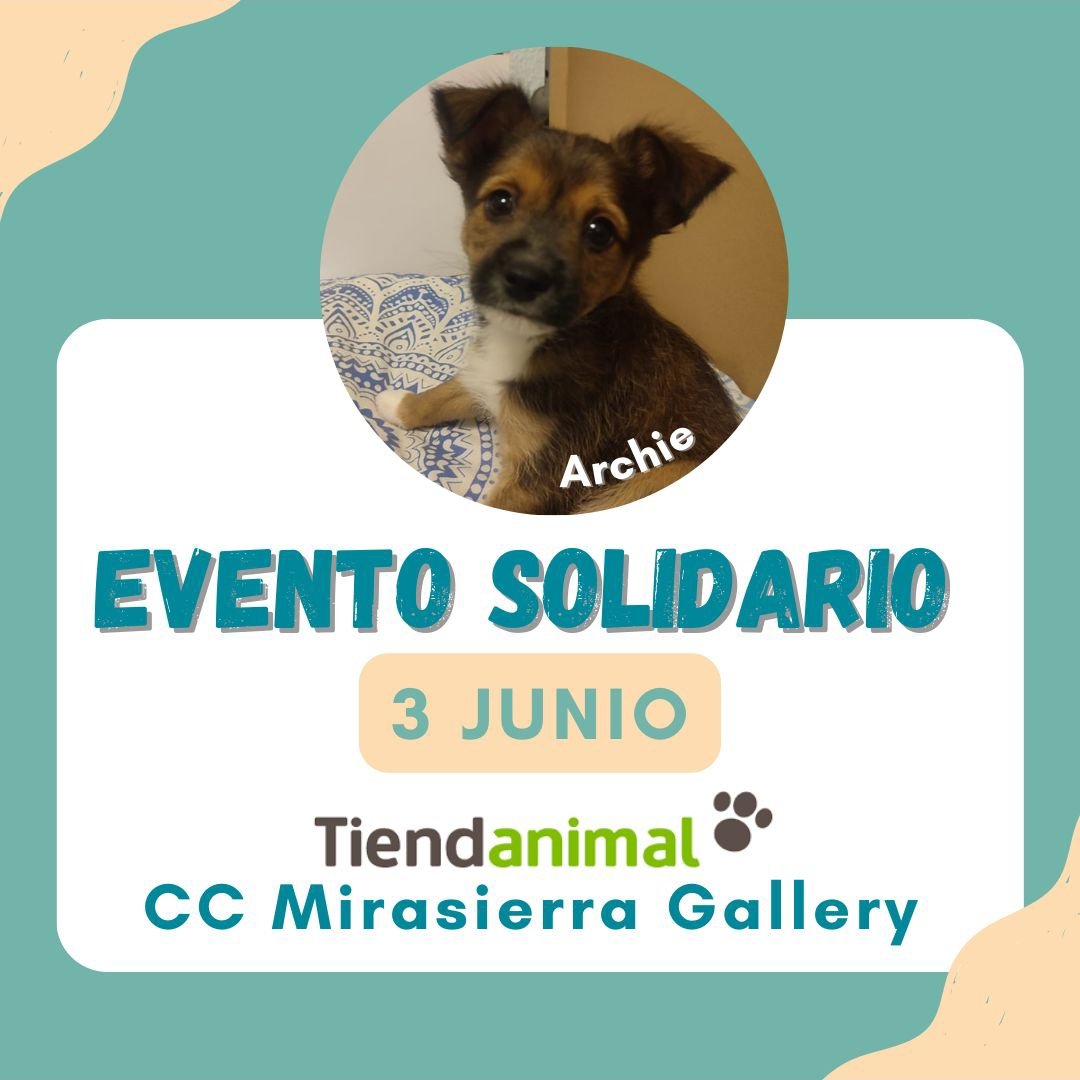 Life4pitbullsMADRID (@life4pitbullsm) on Twitter photo ¡Chic@s! Perdón por el retraso pero lo bueno se hace esperar 😅
¡Vamos a empezar junio de la mejor manera! El sábado os esperamos en el <a href="/tiendanimal/">Tiendanimal</a> del C.C. Mirasierra Gallery, !así que ya tenéis plan! 😁 ¡Chic@s! Perdón por el retraso pero lo bueno se hace esperar 😅
¡Vamos a empezar junio de la mejor manera! El sábado os esperamos en el <a href="/tiendanimal/">Tiendanimal</a> del C.C. Mirasierra Gallery, !así que ya tenéis plan! 😁