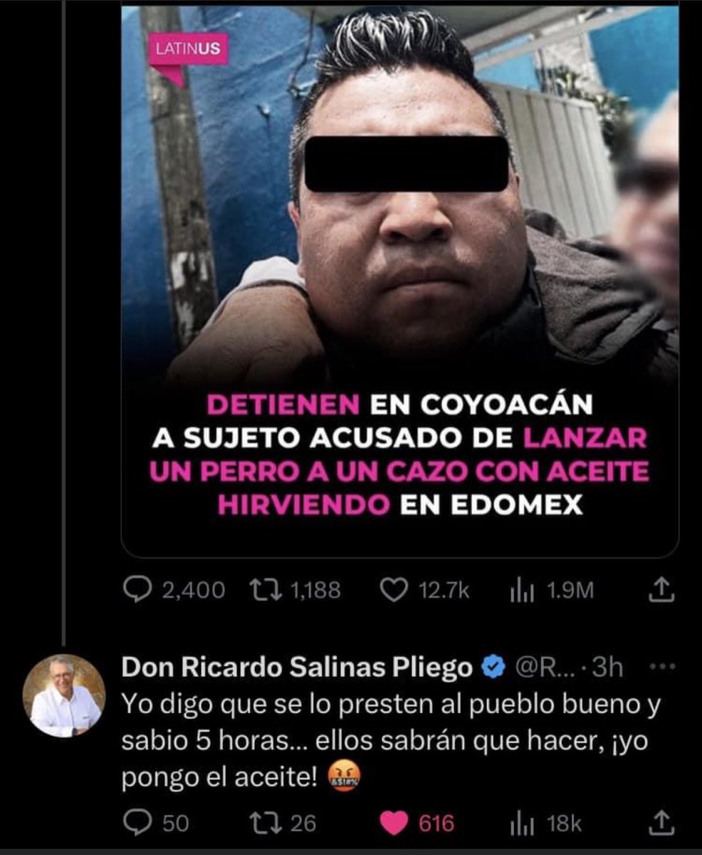 Vivalyk's tweet photo. Todos queremos lo mismo que Don Ricardo! 🤬🤬🤬 @RicardoBSalinas #JusticiaparaBenito 🐶🤍🙏🏻 https://t.co/QyfwuQYFVJ