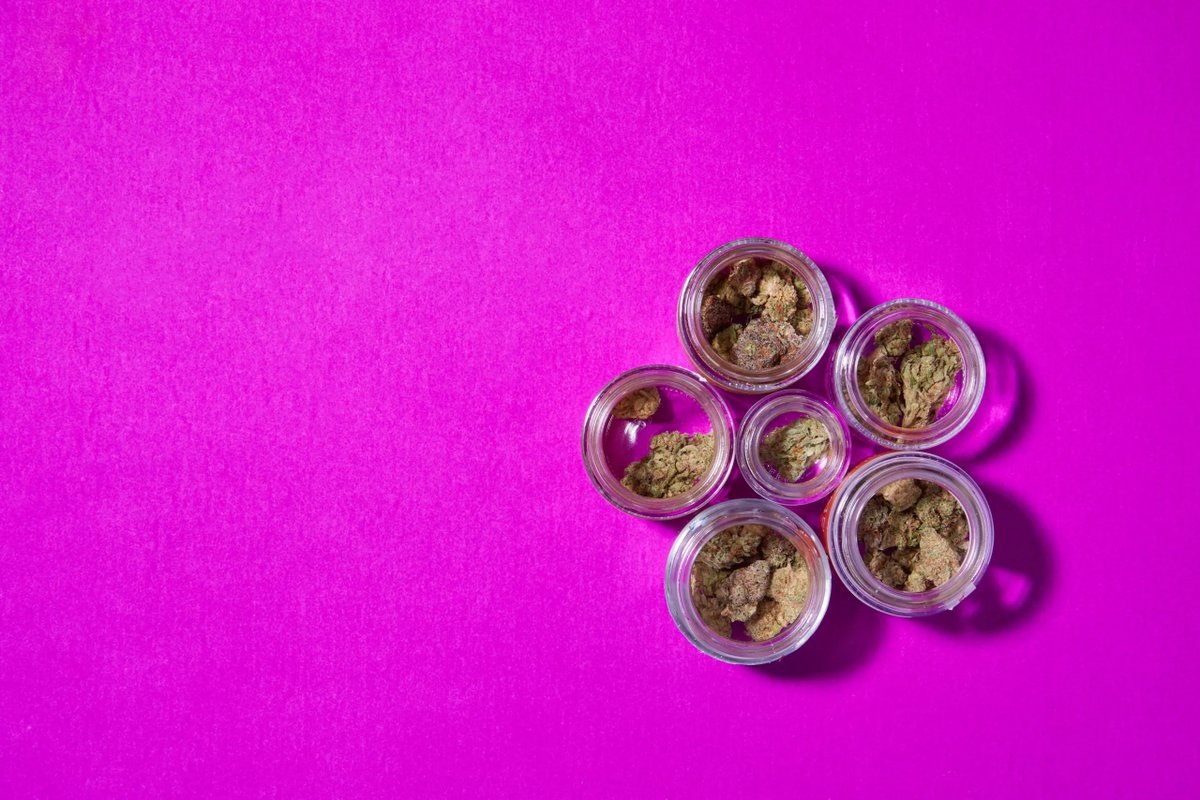 seedsplug's tweet photo. The art of consuming cannabis flowers comes down to personal preference: joints, blunts, pipes, or bongs. Whatever your choice, understanding each method helps enrich the experience. Ready to elevate your flower consumption game? 🌿💨 #CannabisCulture

https://t.co/8lOg0zNUyY https://t.co/zHws5LSWM0