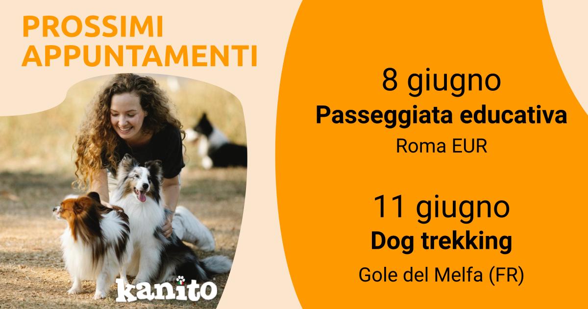 Kanito_pet's tweet photo. 🐶 EDUCAZIONE E BENESSERE CANE 🌳

Miglioriamo il rapporto col nostro cane: Passeggiate educative a Roma e Dog trekking nel Lazio.

👉 https://t.co/roUbULNiK6

#dogtrekkinglazio #educazionecinofila #ideeweekend #petslife #dogfriendly #esperienza #kanito #roma #lazio @visit_lazio https://t.co/GBDlcsPt6o