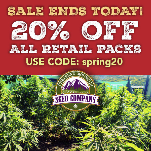 CheyenneSeed's tweet photo. Sales Ends Today! Shop Now! https://t.co/eOozKZYf2g https://t.co/XYQHddk8x6