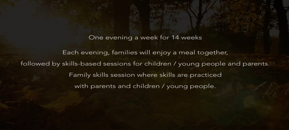 12ldatf's tweet image. Could a family you are working with benefit from our Strengthening Families Programme?
Starting in September, applications now open
Email jean@thebosco.ie for application form/queries
Watch video here dublin12ldatf.ie/news